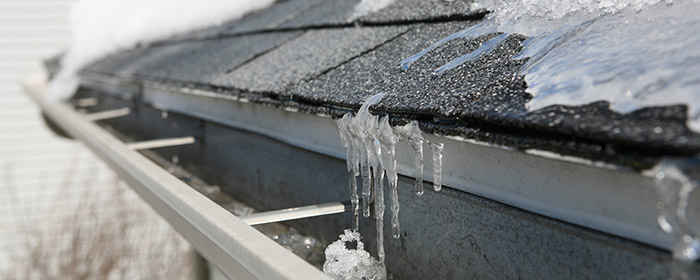 Roof Cleaning